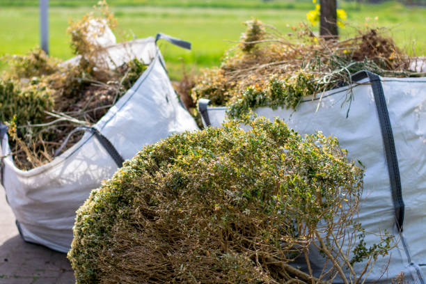 Best Local Junk Hauling  in Pine Brook, NJ
